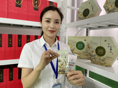 绥阳:朵花茶再出新品 产业链条再延伸